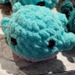 Meet your Posher, Maria